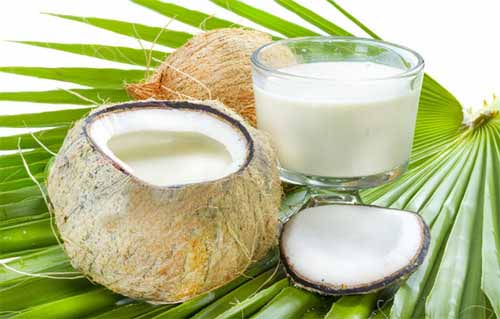 Kokosmilch